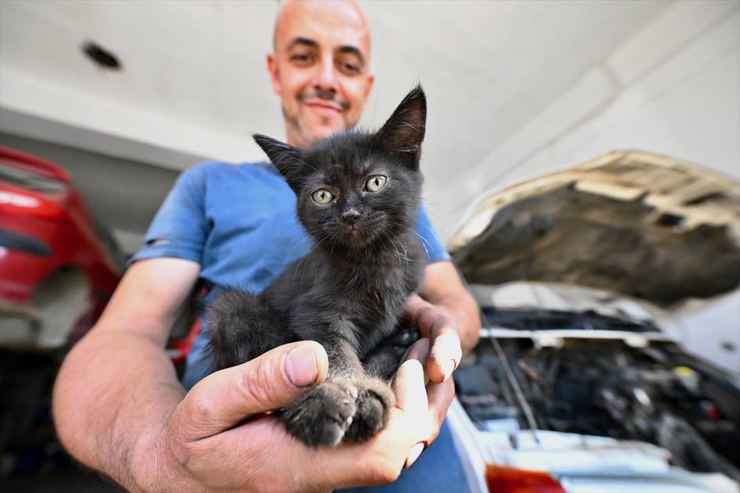 Tamirhanenin yeni Çırak'ı görenlerin yüzünü güldürüyor 17